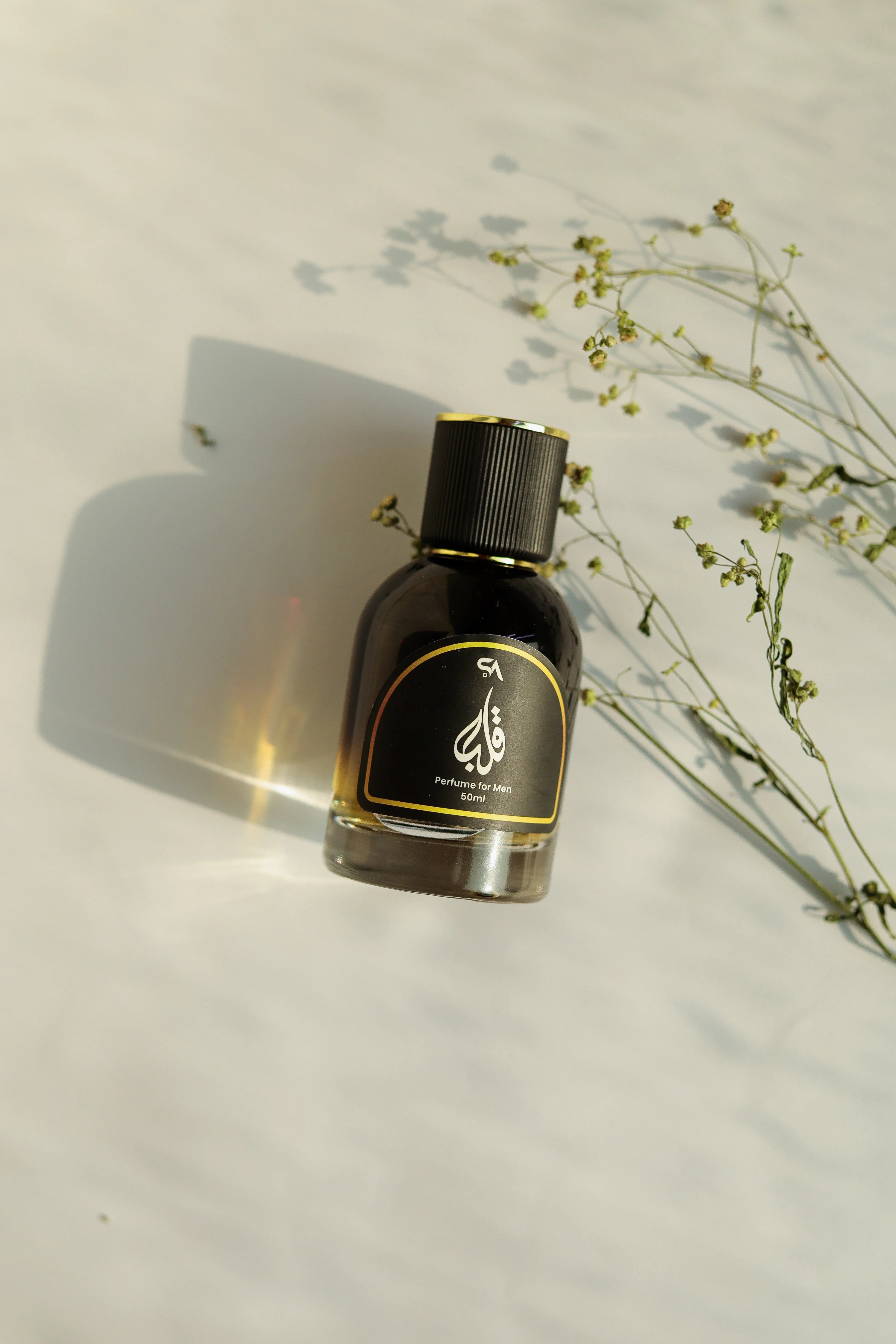 Men’s perfume with bold masculine fragrance